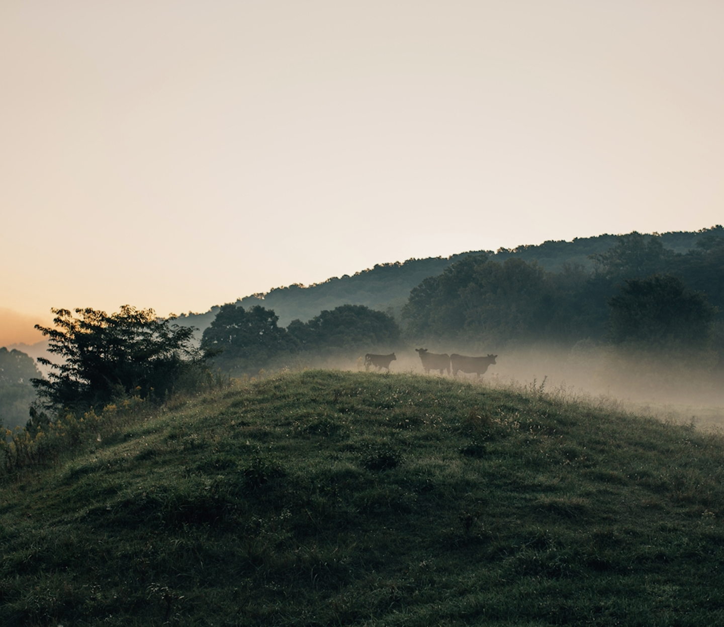 Begleite uns auf unserer Reise.