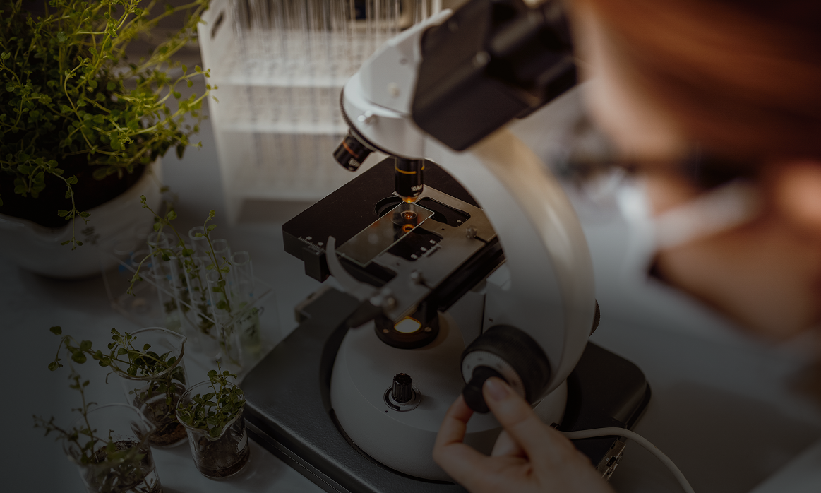 Eine Person nutzt ein Mikroskop, um Pflanzenproben zu untersuchen, mit Töpfen und Reagenzgläsern im Hintergrund.